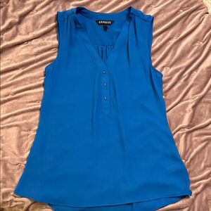 Express Women's Vibrant Blue V-Neck Blouse